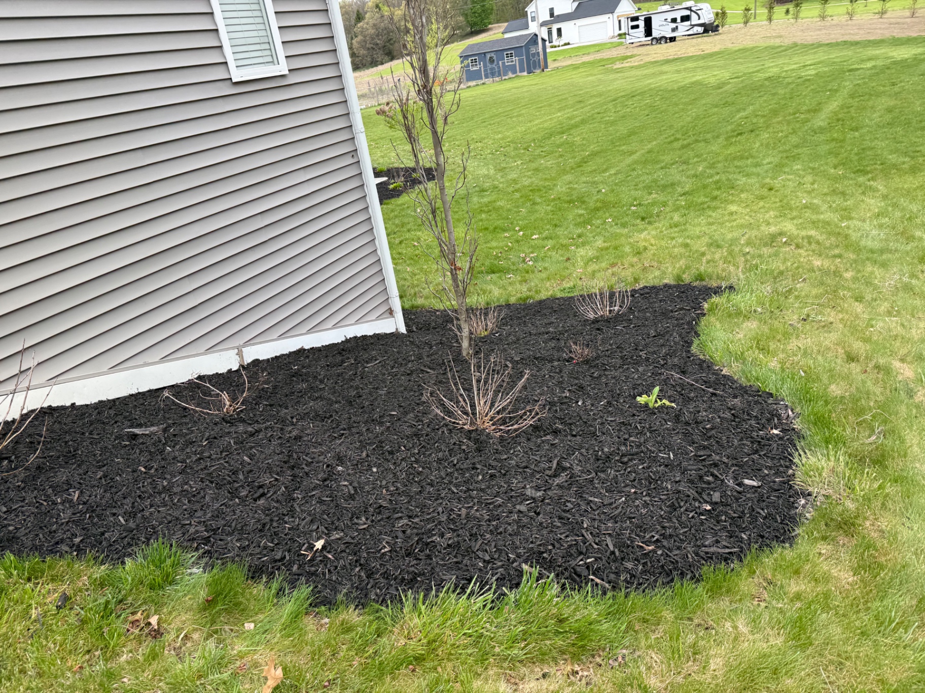 Fresh black mulch bed wrapped around the corner of a home with crisp lawn edge